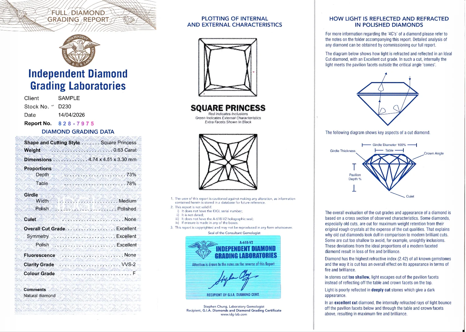 Full Diamond Grading Report Sample