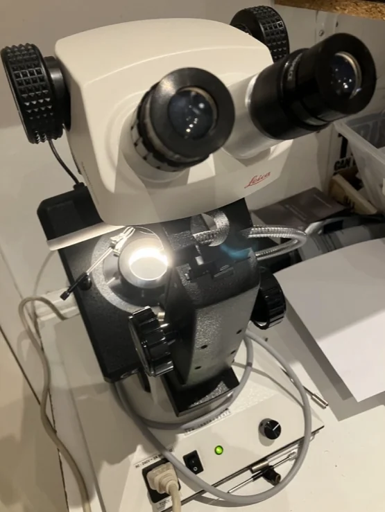 Stereo microscope eyepiece