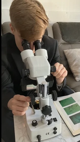 Lab technician at the stereo microscope